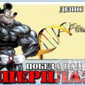 Подробнее о "Денис Борисов - Гиперплазия - Победа над генами 2013"