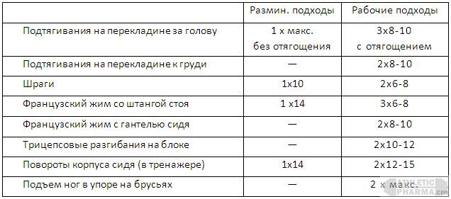 Программа тренировок новичек (3 этап, 2 тренировка)