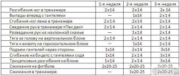Программа тренировок новичек (1 этап)
