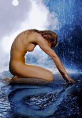 185921  42288349  udcaea