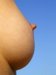 1235125369 hiop.ru 036