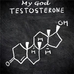 testosteron