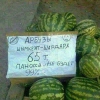 арбузы