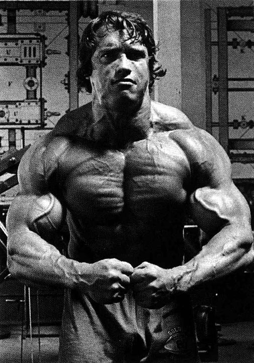 1218645770_schwarzenegger_arnold_002.jpg