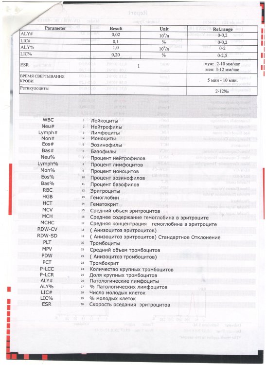 Рисунок (32).jpg