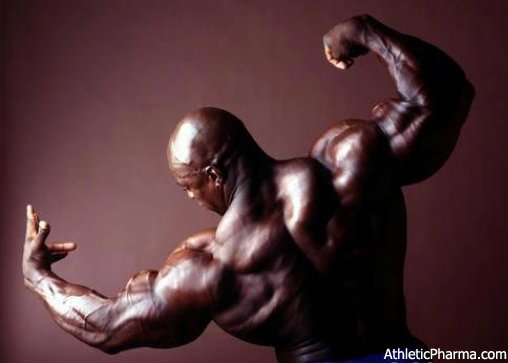 Мужчина - бодибилдер