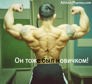 Мускулатура бодибилдера