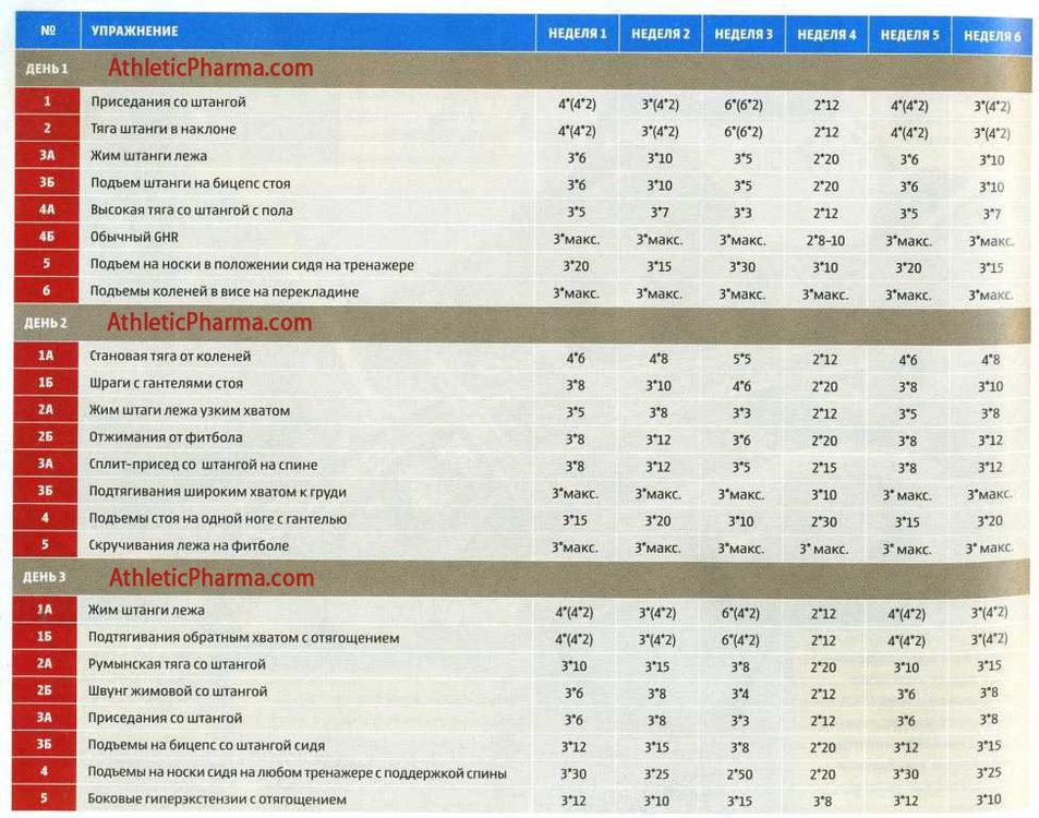 Пример программы тренировок