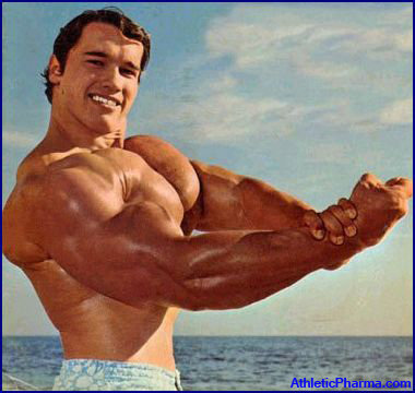 Арнольд Шварценеггер