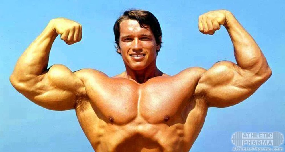 Руки Арнольда Шварценеггера