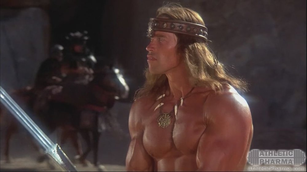 Арнольд Шварценеггер в роли Конана