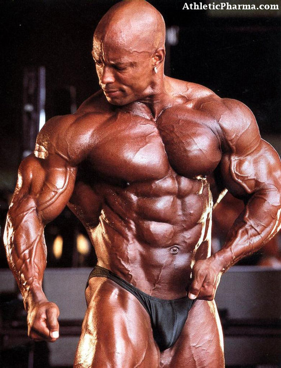 Тестостерон в организме