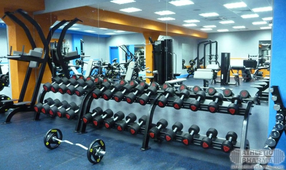 Бодибилдинг, тренировка