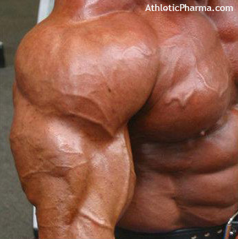 Широкие плечи