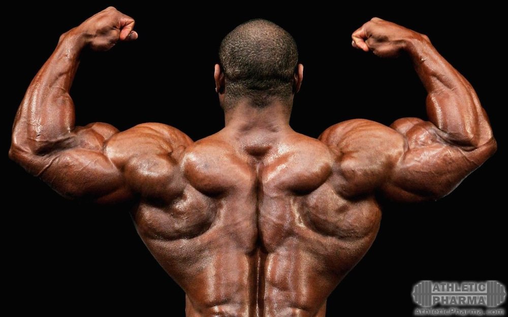 Декстер Джексон, мышцы сзади