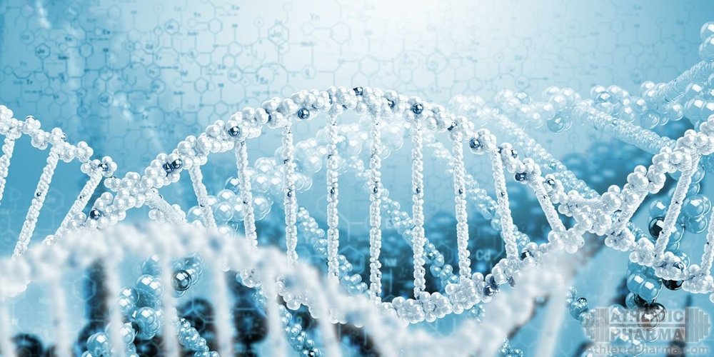 Изображение ДНК