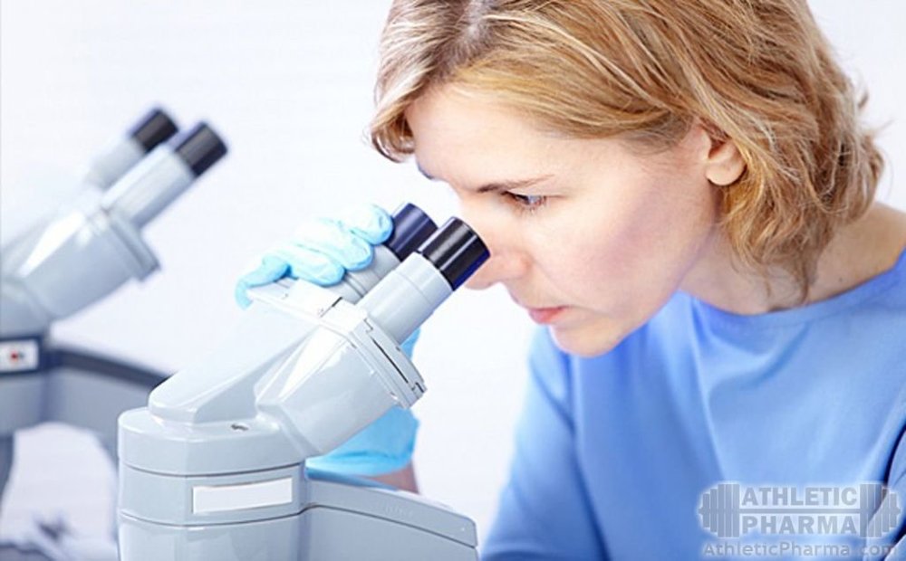 Глобулин, связывающий половые гормоны