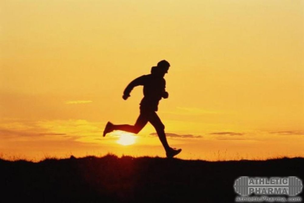 Гопантеновая кислота в спорте