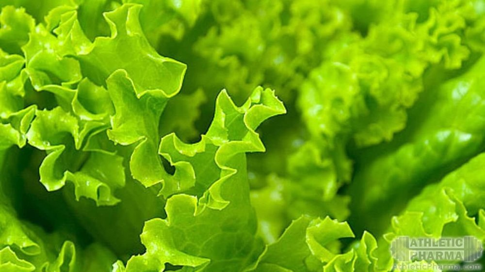 Зеленый салат