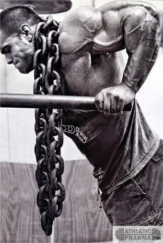 Выбор стероида