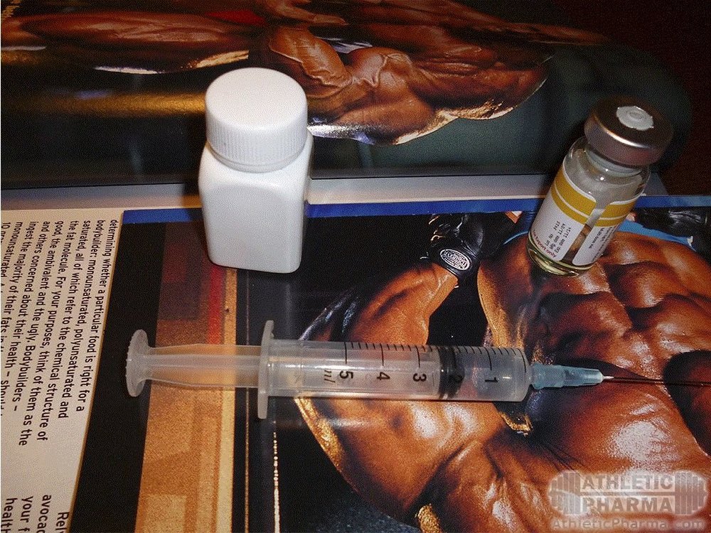 Стероидные курсы для новичков и основы курсов