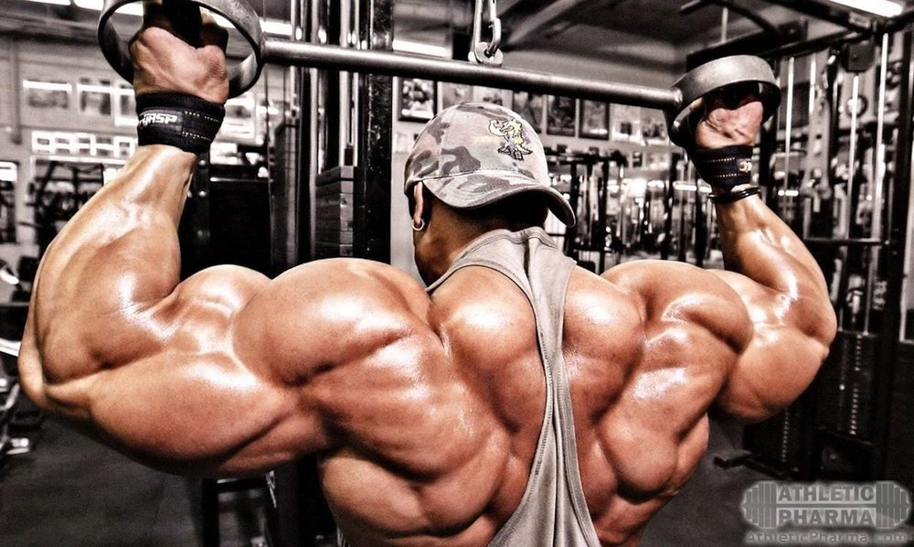 Набор массы/жиросжигание