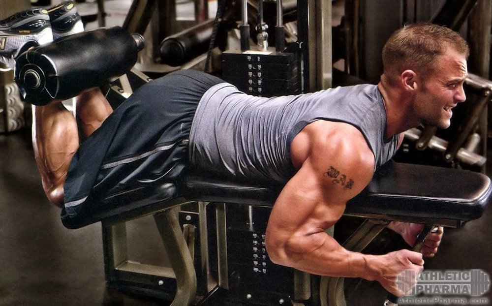 Сгибание ног в тренажере