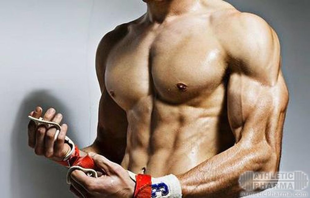 Суперкомпенсация мышц в бодибилдинге