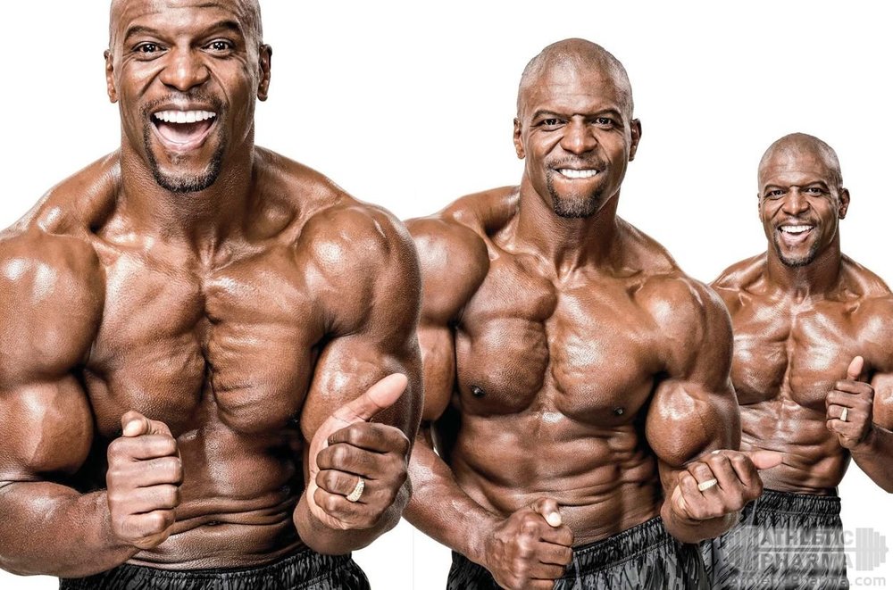 Тренировки Терри Крюса