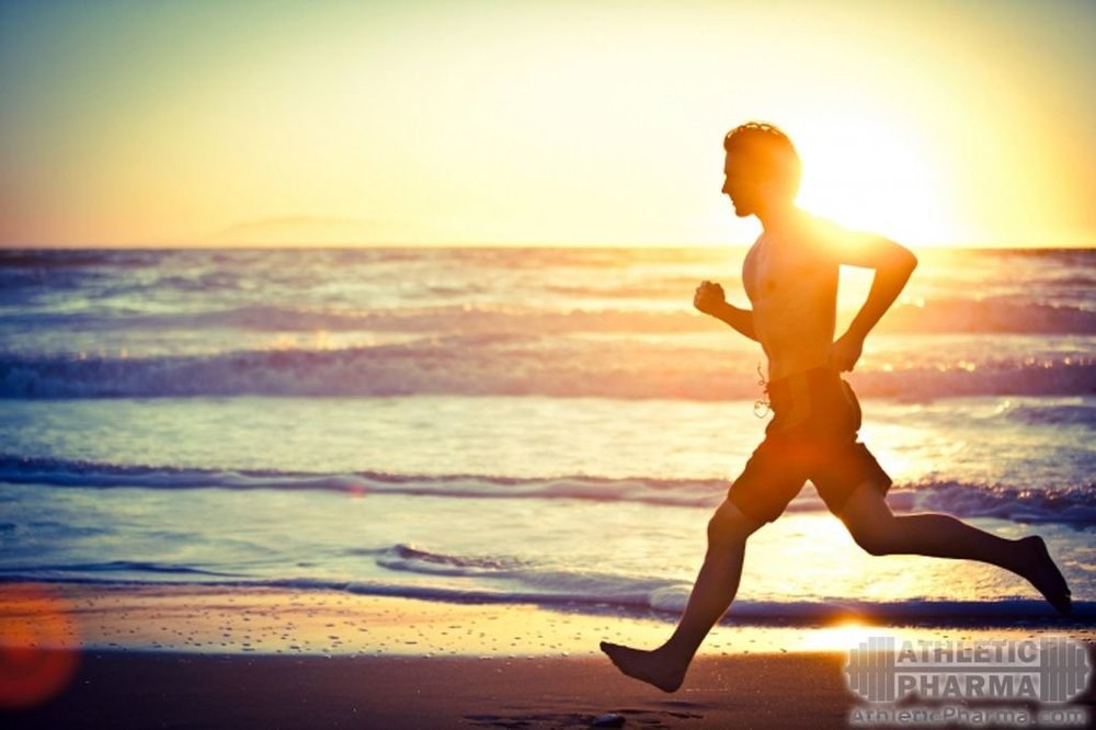 Выносливость - действие стероидов