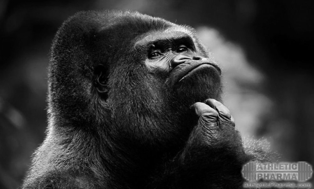 Задумался над вопросом