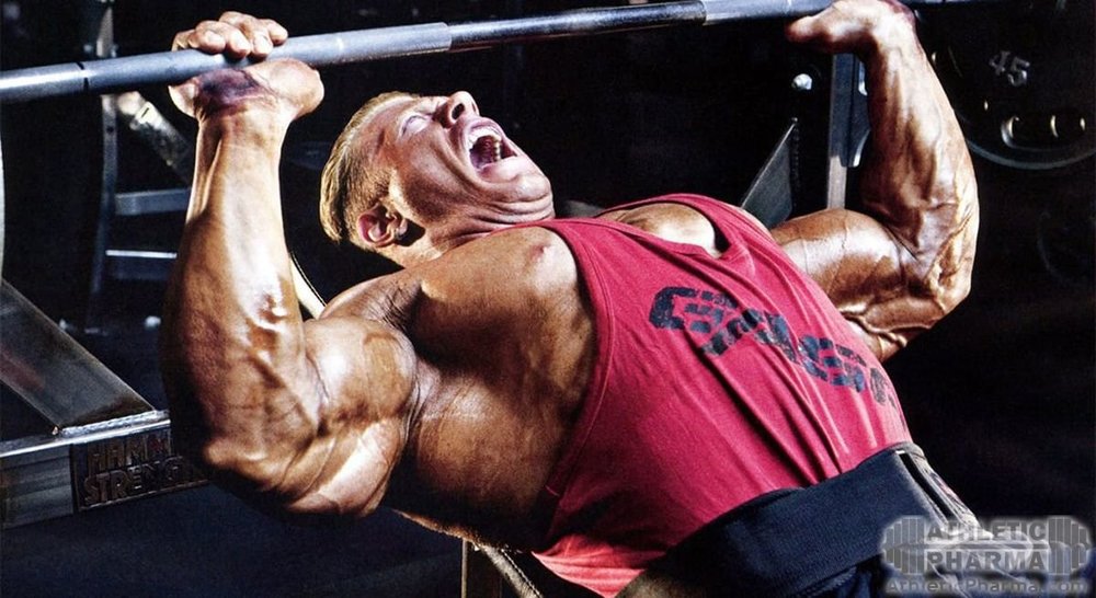 Жим штанги на скамье