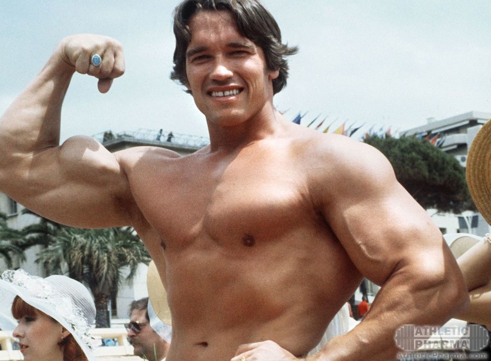 Довольный Арнольд