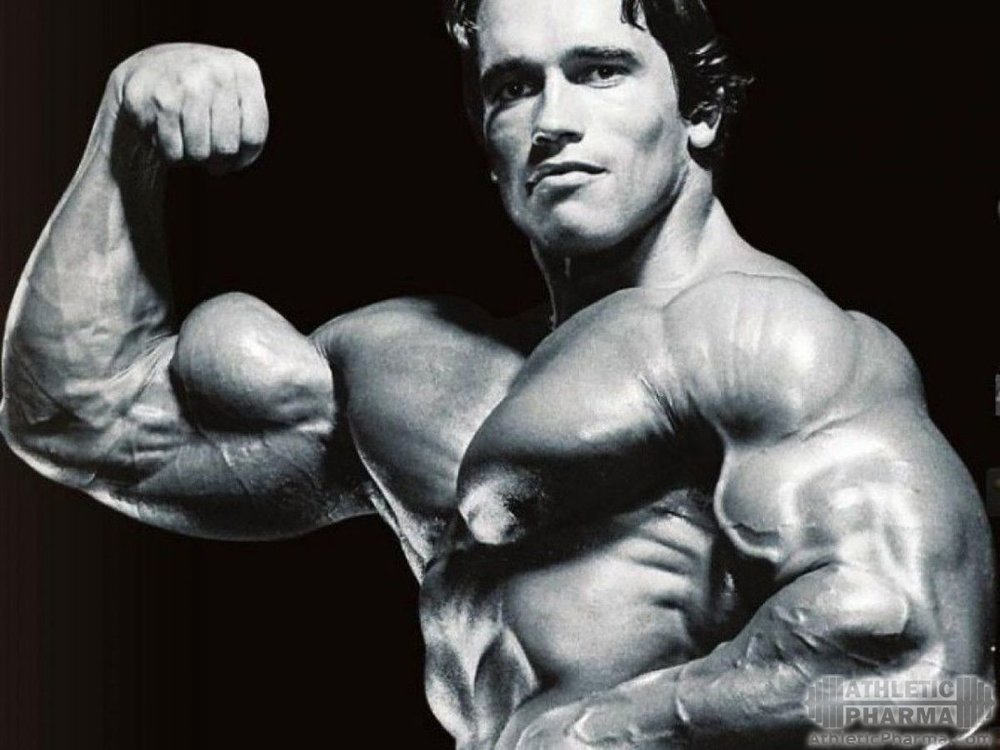 Бицепсы рук Арнольда