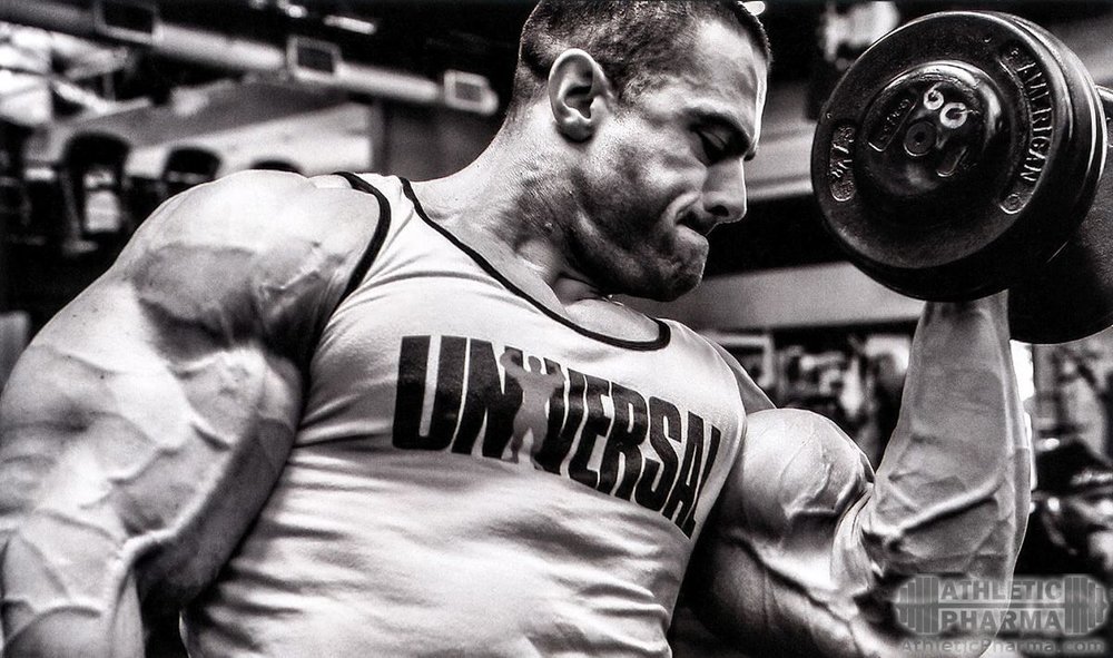 Бицепсы рук у бодибилдера