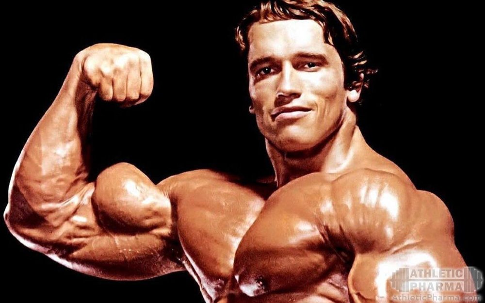 Бицепсы у Шварценеггера
