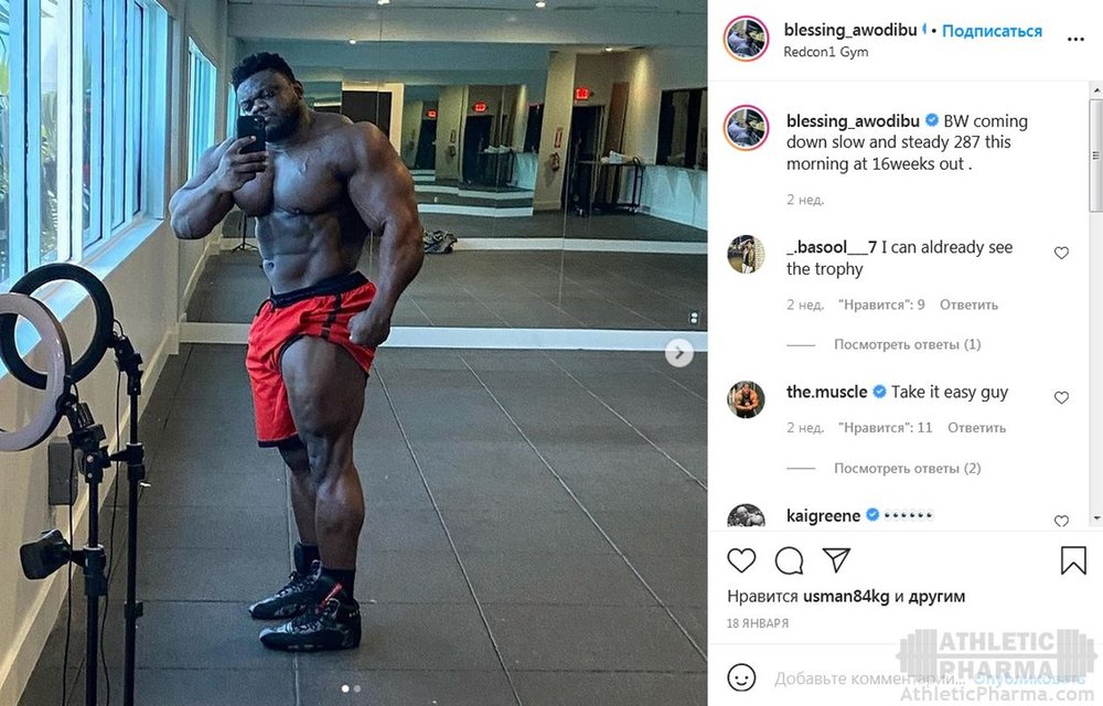 Блессинг Аводибу (форма в начале 2021 года)