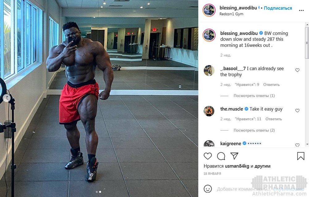 Актуальная форма Блессинга Аводибу