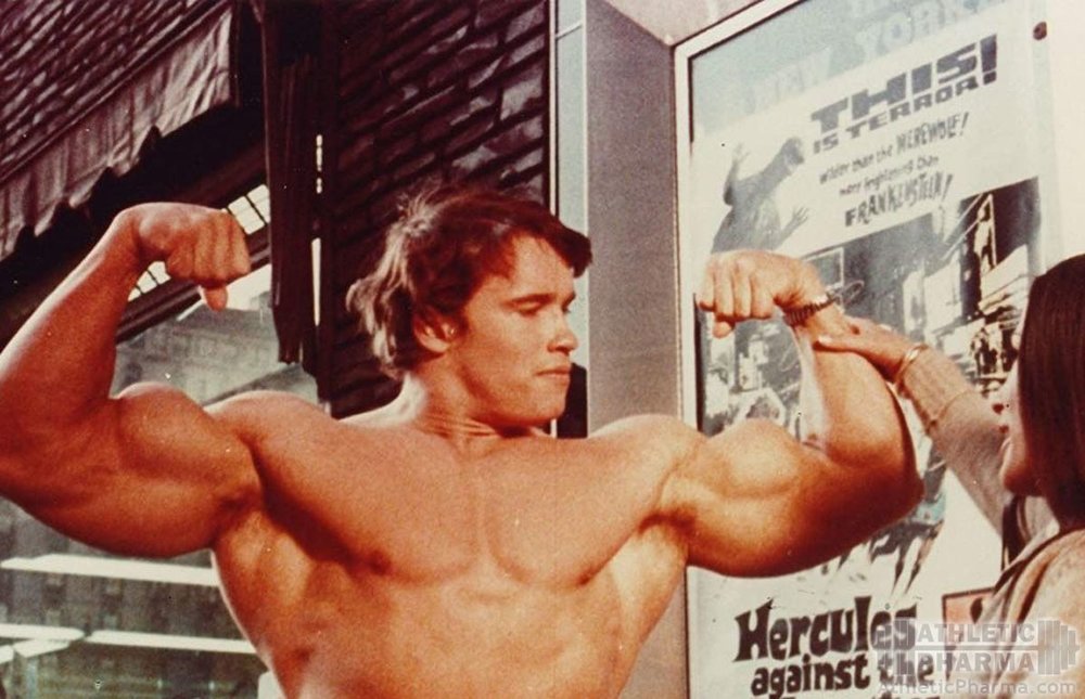 Мышцы на руках Арнольда