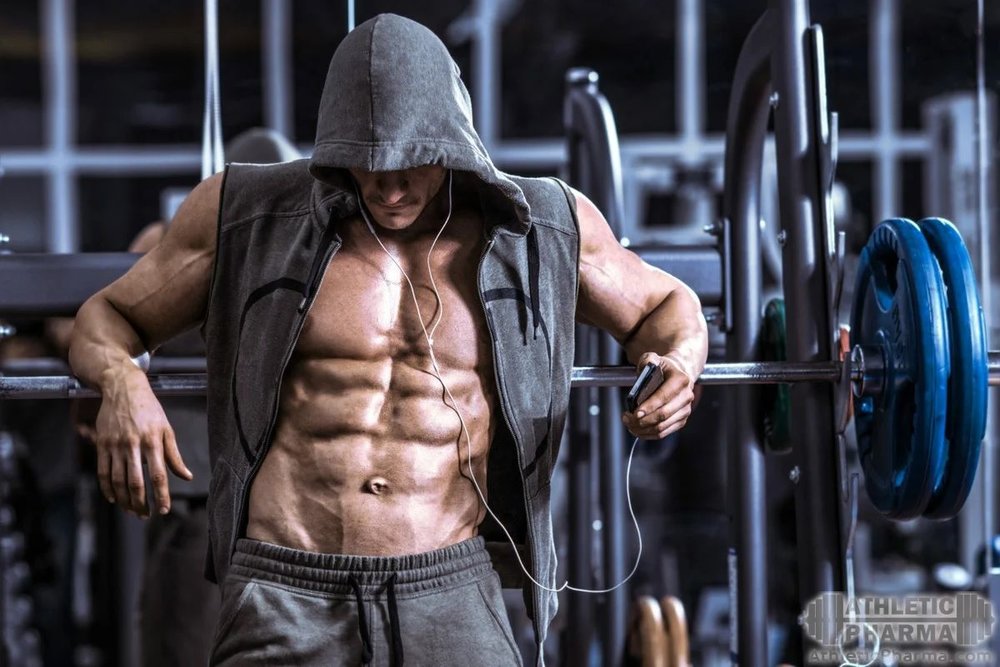 Качек настраивается на тренировку