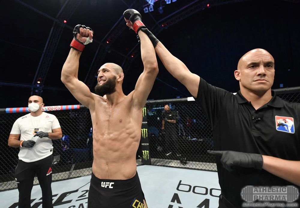 Хамзат Чимаев, боец UFC