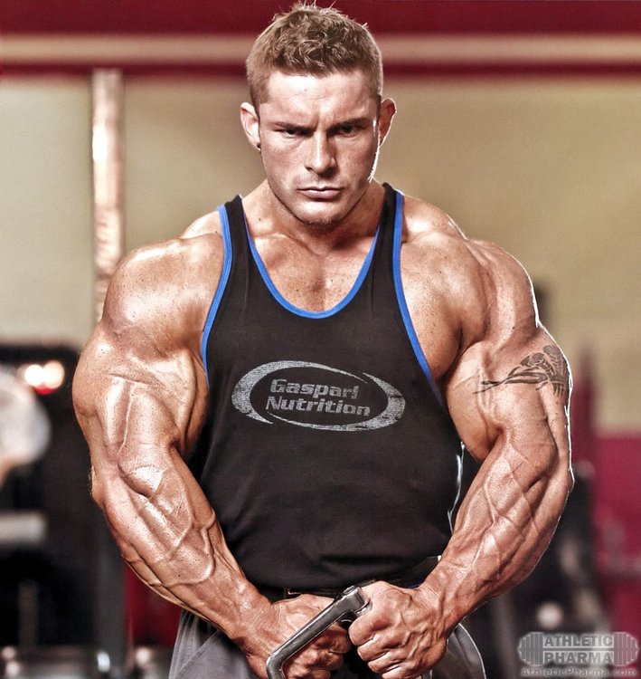 Флекс Льюис, про-бодибилдер ИФББ