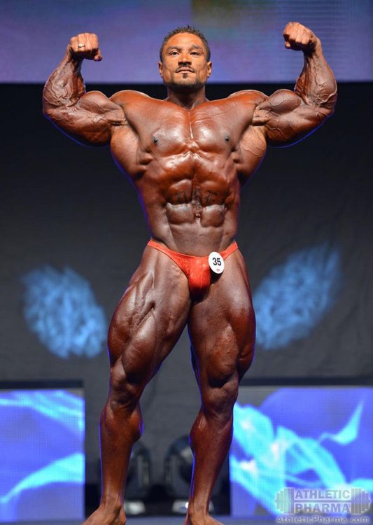 roelly_winklaar_netherlands_bodybuilder.jpeg