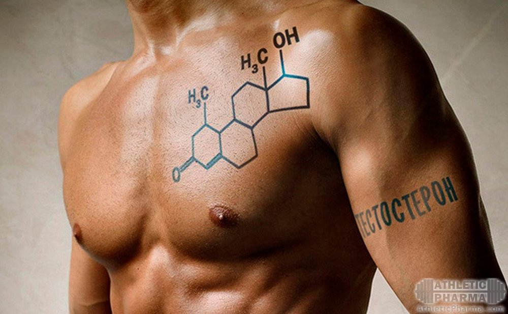 Тестостерон у мужчин