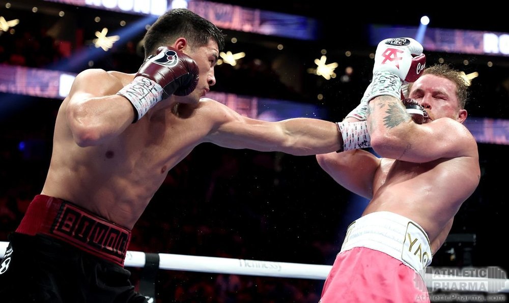 Бивол против Канело