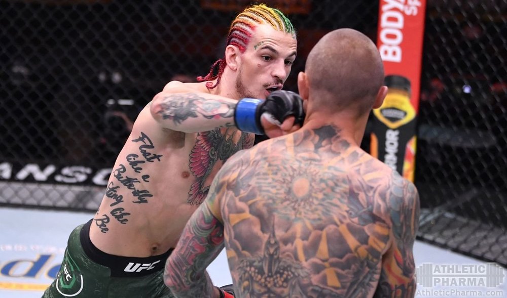 Шон О'Мэлли, боец UFC