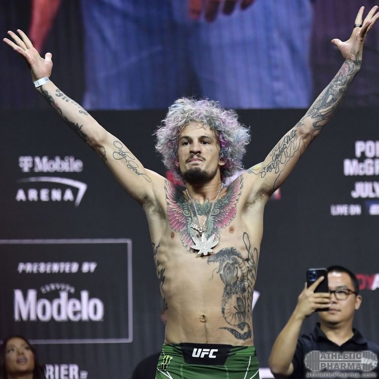 Американец Шон О'Мэлли (боец UFC)