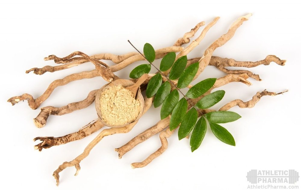 Натуральная виагра эврикома длиннолистая