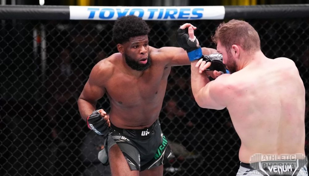 Нзечукву против Куцелабы на UFC Fight Night 215