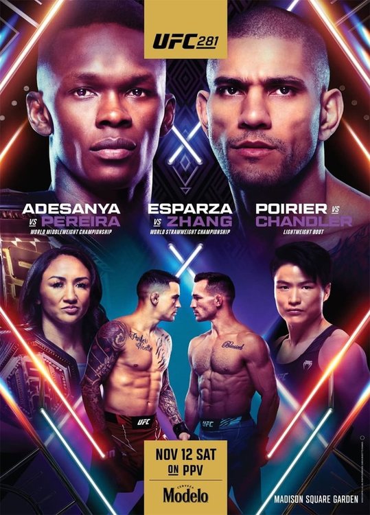 ufc-281_promo-poster.jpg